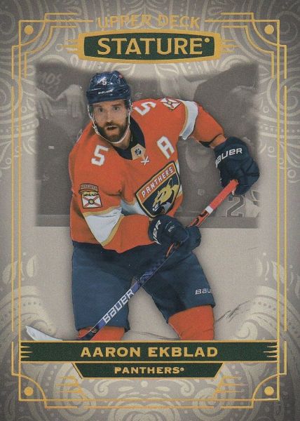 řadová karta AARON EKBLAD 22-23 Stature číslo 73